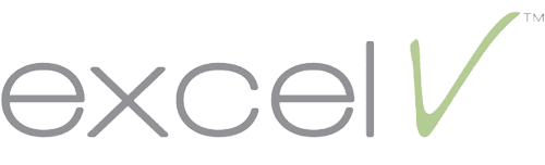 Excel V Logo